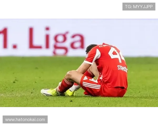 德媒：斯塔尼希奇被踩并无大碍